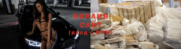 гидропоника Арсеньев